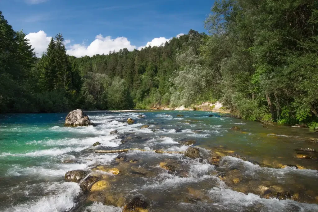 Raziskovanje Zipline Dolinka Bled: najdaljša zipline dogodivščina v Sloveniji